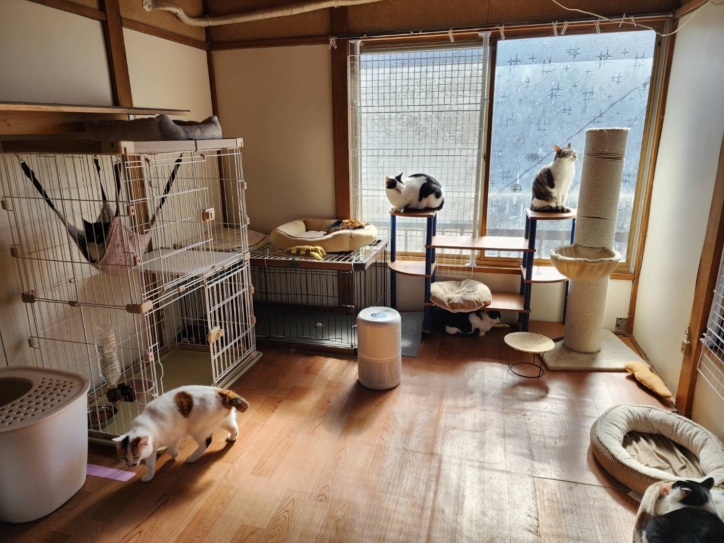 シェルターの写真