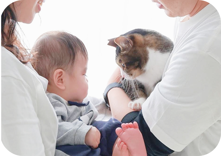 両親が赤ちゃんと猫を抱く家族写真